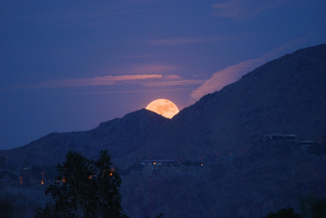 Blue Moon.jpg